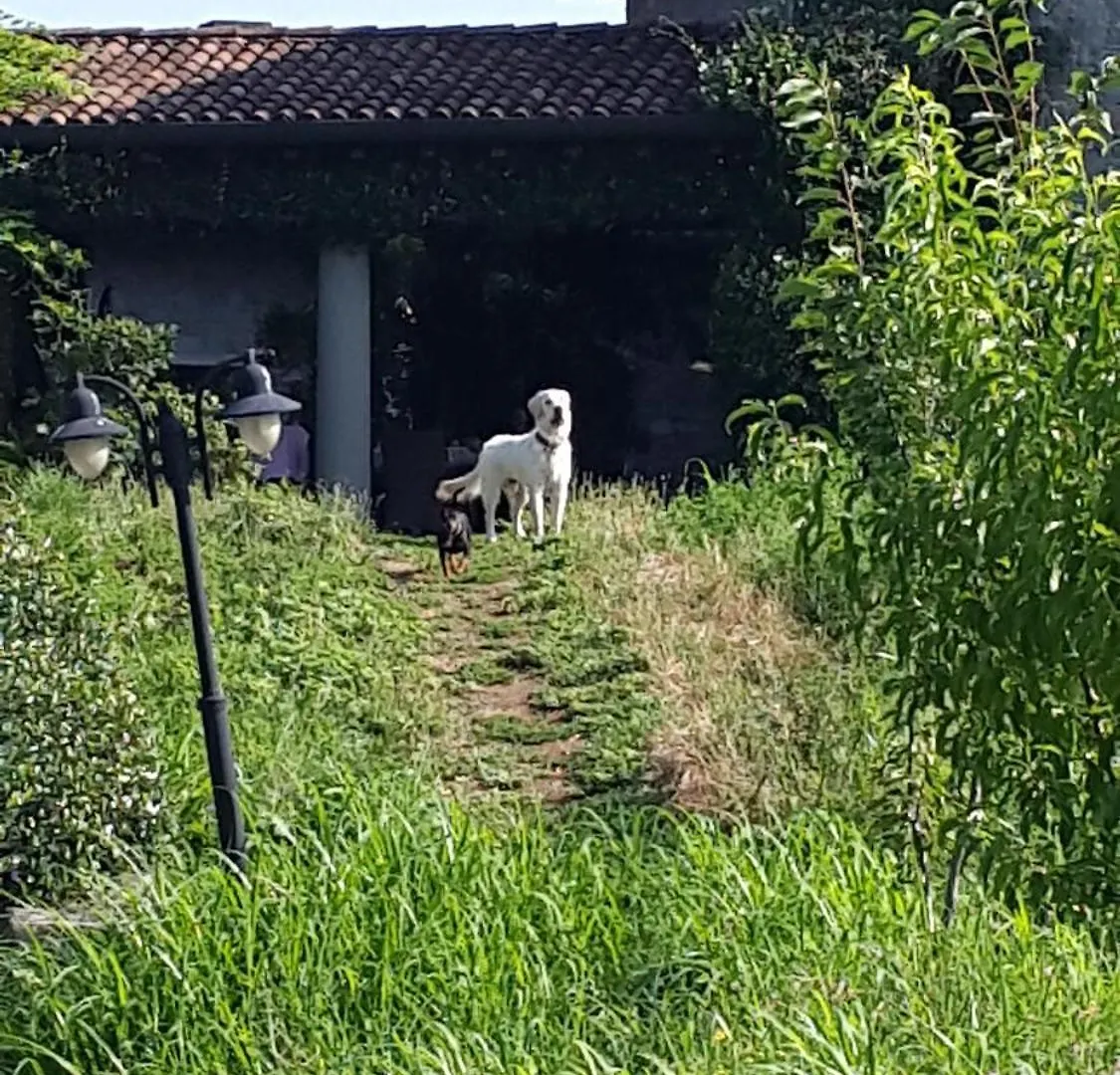 B&B Villa Melograno Pontoglio 0*,